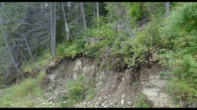 Игорь Северянин. Вина на всех