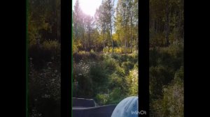 ВЕСТИ С УГОДИЙ.
РАЗВЕДКА - 2