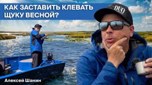 Как заставить клевать щуку весной? | Секретный воблер для щуки | Алексей Шанин