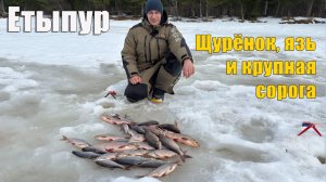 Плюс, вода на льду и долгожданный язь. Зимняя рыбалка 2026.