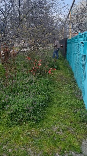 Наводим порядок около двора!