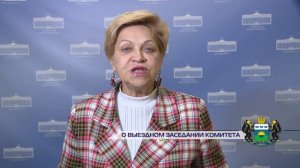 Инна Лосева о выездном заседании комитета