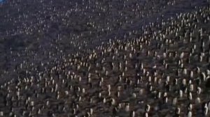 Первозданная природа. Эдем жизни 18 серия (документальный сериал, 1997)