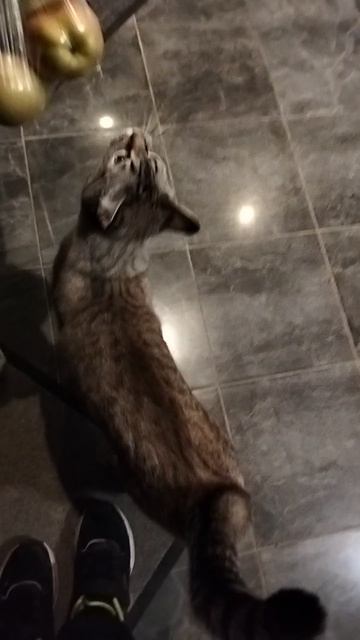 мы вернулись из Москвы