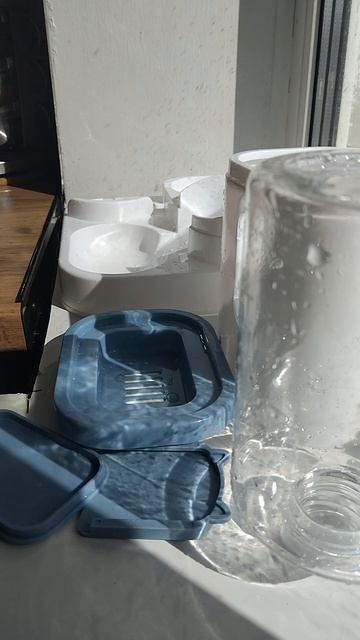 Дневная рутина