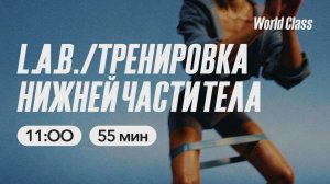 ТРЕНИРОВКА НИЖНЕЙ ЧАСТИ ТЕЛА с Еленой Дубас | 11 апреля 2026 | Онлайн-тренировки World Class