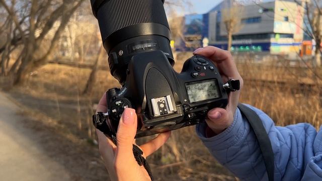 Открытая или закрытая диафрагма? Снимаем на природе, когда за окном серость