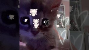 сколько нашёл