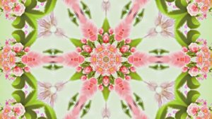 Весна! Очаровательные тюльпаны 7! Киностудия Мудрого Кота Тимофея!