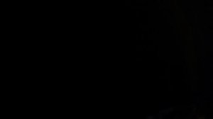 090426 Вечер сурка