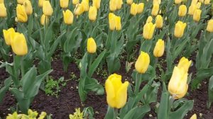 Сюрприз от природы. Узнала где лежат деньги.