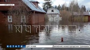 Река Санда, которая полностью обмелела осенью, весной затопила ближайшие деревни