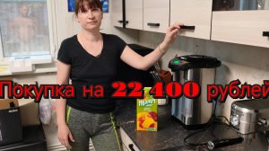 КУПИЛИ НОВУЮ КУХНЮ/СЪЕЗДИЛИ В ПИТОМНИК НОВЫЙ САД ЗА ГОЛУБИКОЙ И ЕЖЕВИКОЙ/