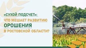 «Сухой подсчет»: что мешает развитию орошения в Ростовской области?