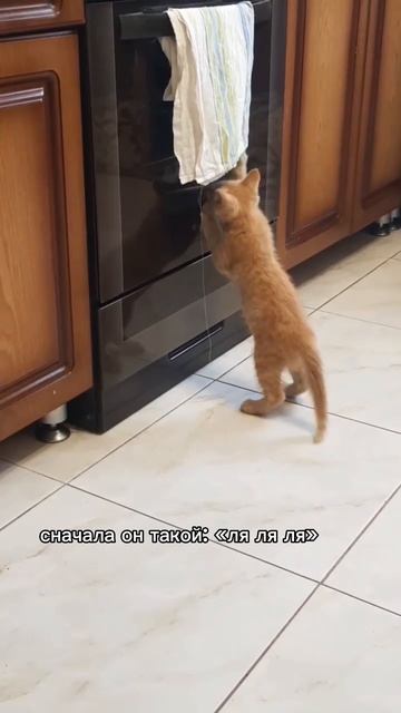 Симба с детства был еще тем хулиганом 😂