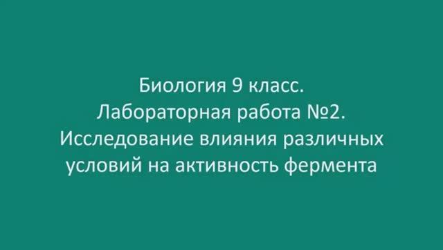 Исследование влияния различных условий на активность фермента