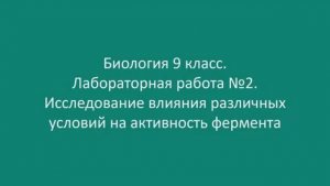 Исследование влияния различных условий на активность фермента