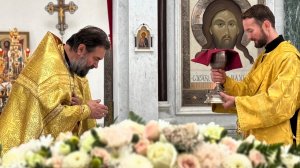 Когда остальные не причащаются. Протоиерей Андрей Ткачёв