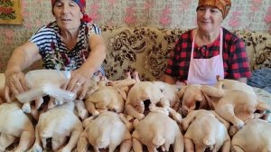 забой бройлеров у сестры // архив, вспомним лето //