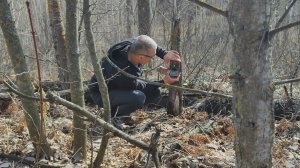 Кто живёт в норе?