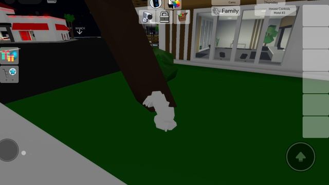 Прятки в Брук хэвин