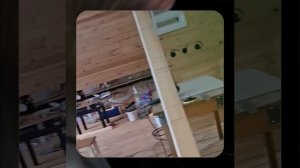 1000055522.mp4 (Собака наблюдает за устройством лестницы на 2-ой этаж в доме А-фрейм)