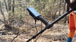 Старая дорога порадовала старинным серебром.