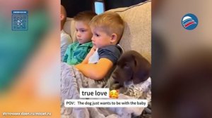 Безусловная любовь: трогательные моменты детей и их четвероногих друзей