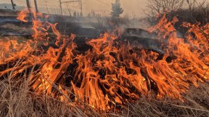 Природные пожары в Хакасии добрались до жилых домов