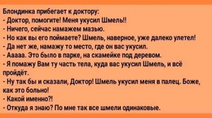 Анекдоты!_Парень,_Девушка_и_Киска!_Сборник_Отличных_Анекдотов!_Юмор