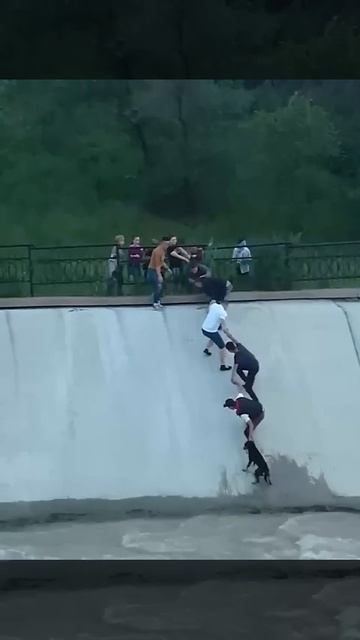 В Алматы начали устанавливать памятник, посвященный спасению собаки из водохранилища