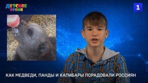 Как медведи, панды и капибары порадовали россиян