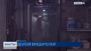 В Краснодаре подвалы домов начали обрабатывать от комаров, клещей и тараканов