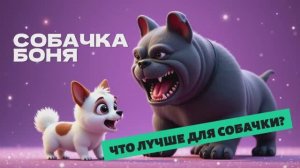 СОБАЧКА БОНЯ 🐾💥 ЧТО ЛУЧШЕ ДЛЯ СОБАЧКИ🐶🐕