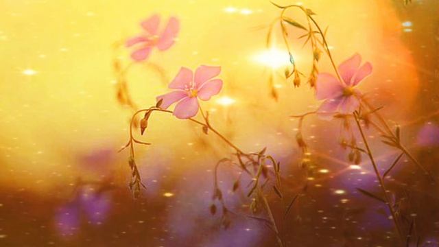 Золотые Драконы и Ангелы Света. Об ипостасях Отца 05.04.2026 51 Послание