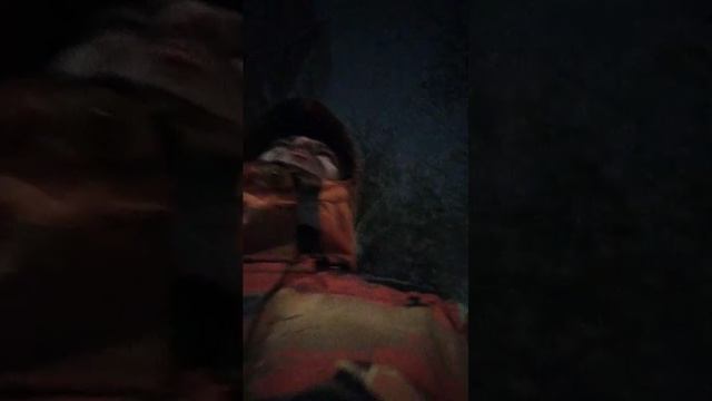 Мы идём гулять с собакой! | 9-апр-2026