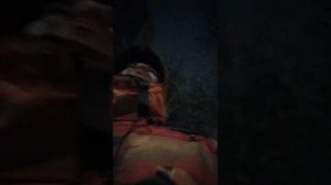 Мы идём гулять с собакой! | 9-апр-2026