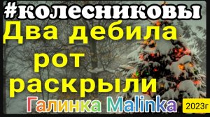 Колесниковы _Два дебила раскрыли рот и понеслось_Обзор Влогов _