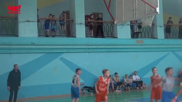 баскетбол (стрижи)