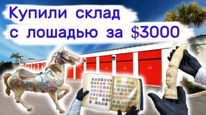АУКЦИОН КОНТЕЙНЕРОВ В США - Купили склад с лошадью за $3000. Находки в  контейнере. Выпуск 200
