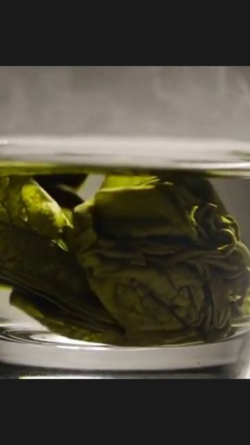 #интернеткультура #цифроваяэра #глобальнаясеть #креативныйконтент