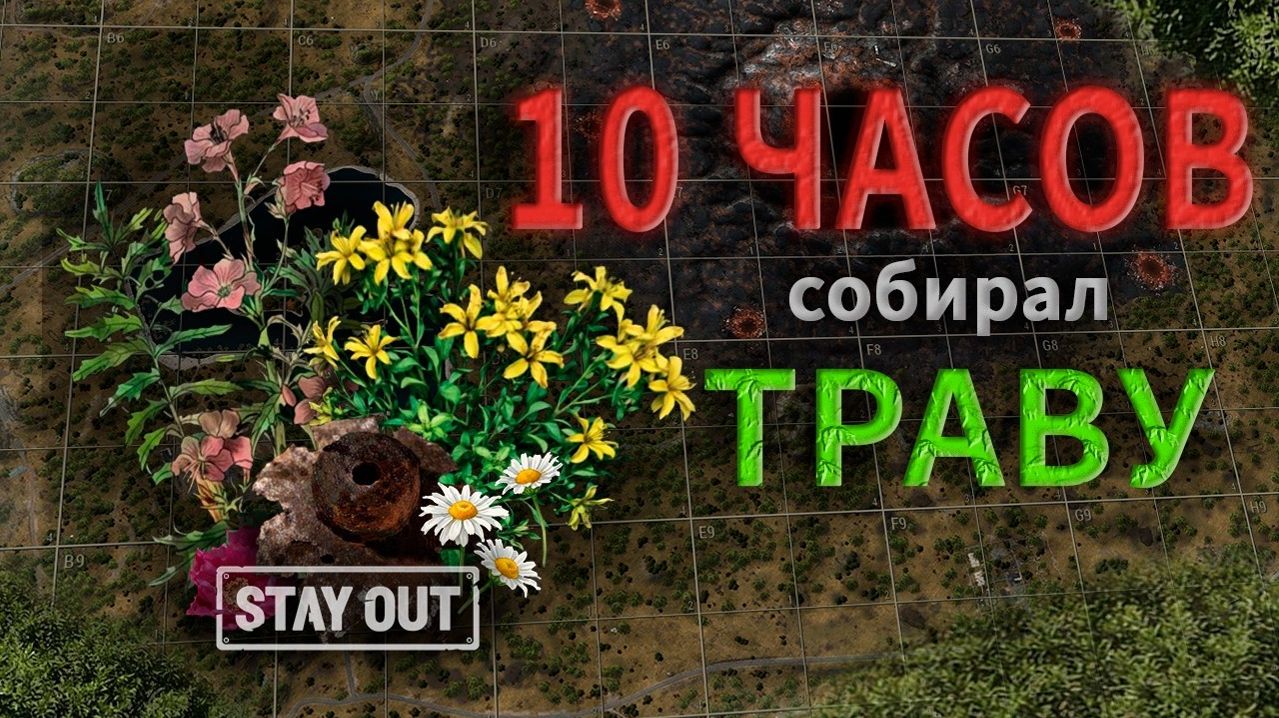 Что бы все ̶с̶к̶у̶р̶и̶т̶ь̶ съесть* | Трава, Грибы и Мокруха | Stay Out / Stalker Online