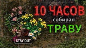 Что бы все ̶с̶к̶у̶р̶и̶т̶ь̶ съесть* | Трава, Грибы и Мокруха | Stay Out / Stalker Online