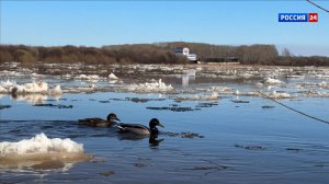 В Кировской области подтоплены 203 придомовые территории в 5 муниципальных образованиях