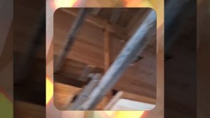 1000055528.mp4 (Собака наблюдает за устройством лестницы на 2-ой этаж в доме А-фрейм)