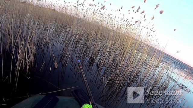 КАРАСИХИ АТАКУЮТ апр.2026