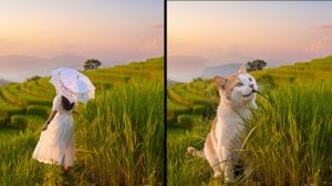 Генерация изображений в AliveColors: обзор параметров