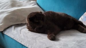 Начинаем:1151515151515151515155151515151515515151515151515151515155115515151515155155555551111151515