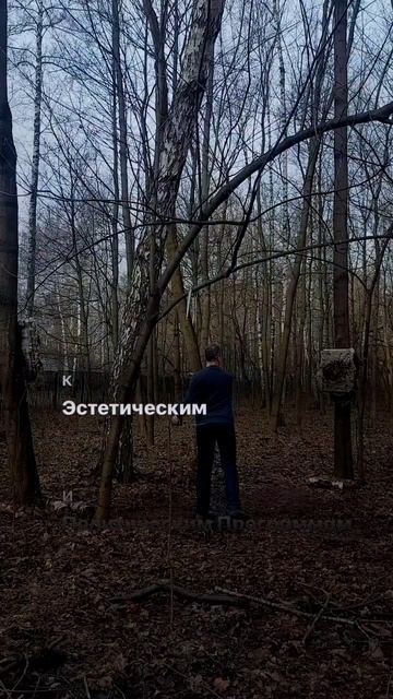 1035 462     (Вентури-005)
Вентури Обожал Такие Здания, Считая Их духовным Противоядием От Модернист