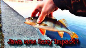 РЫБАЛКА НА ОКУНЯ | МОНТАЖ FREE-RIG